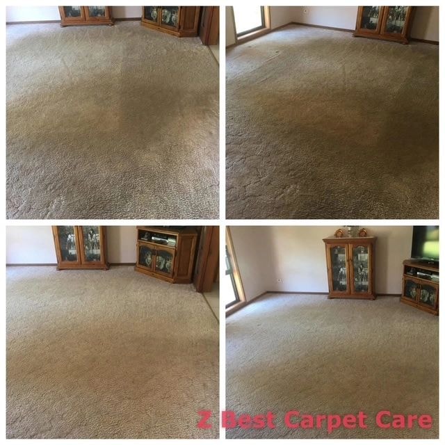 Rug cleaned by Riverina Rug Wash