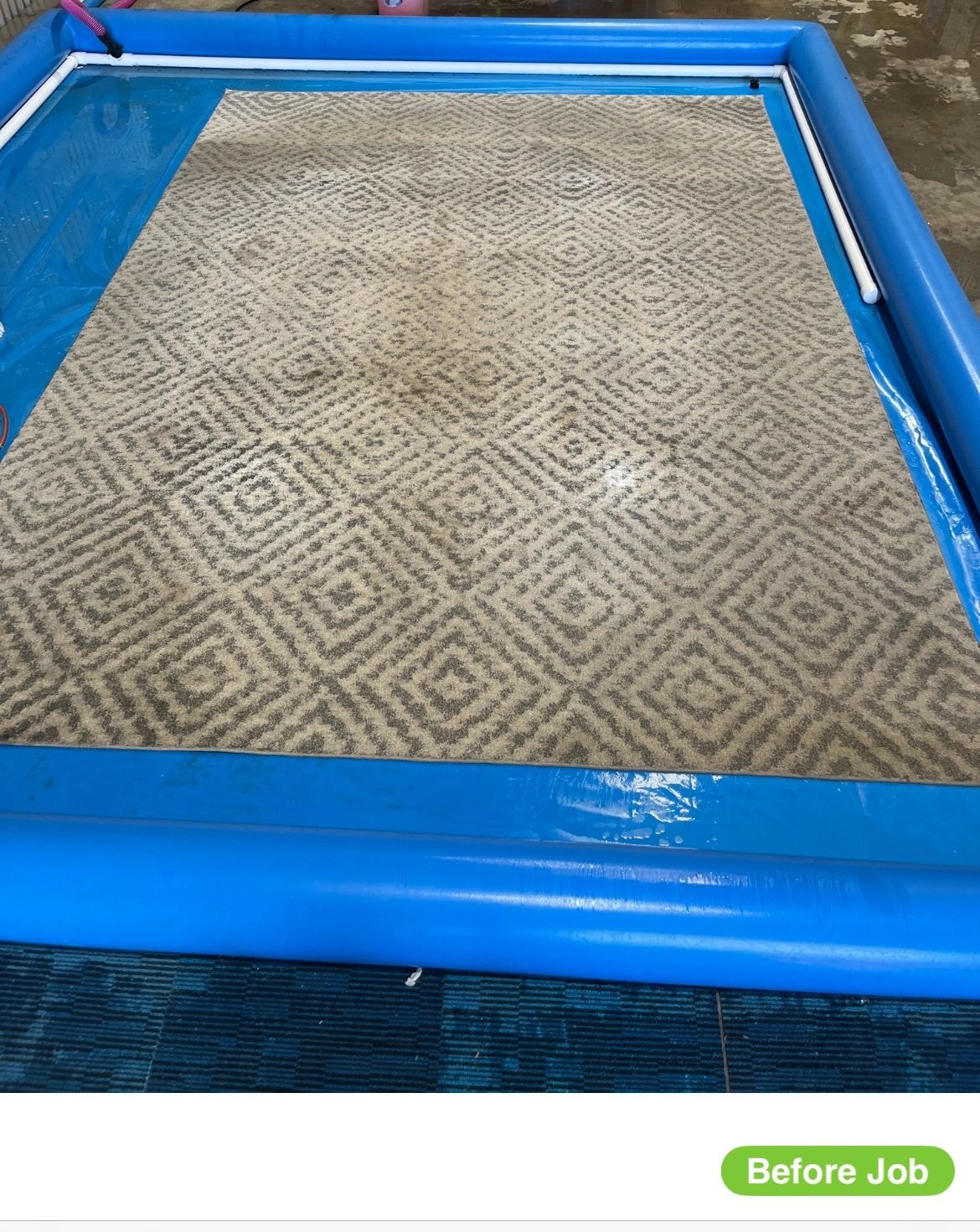 Rug cleaned by Riverina Rug Wash